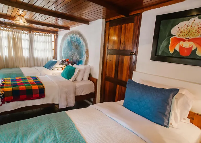 Hotel Gringo Bill's Boutique